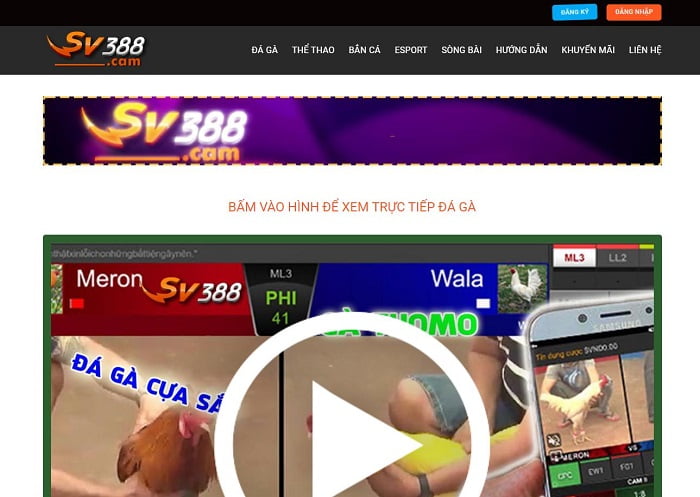Ưu điểm của các trò chơi giải trí cấp 7M - 7M