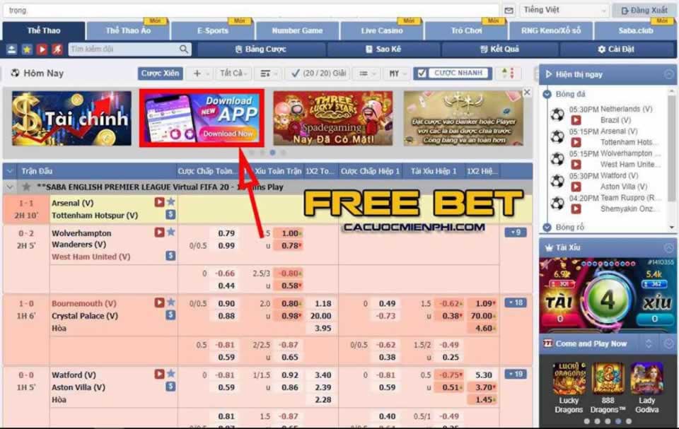 Hướng dẫn đăng nhập và cá cược Okking - Okking