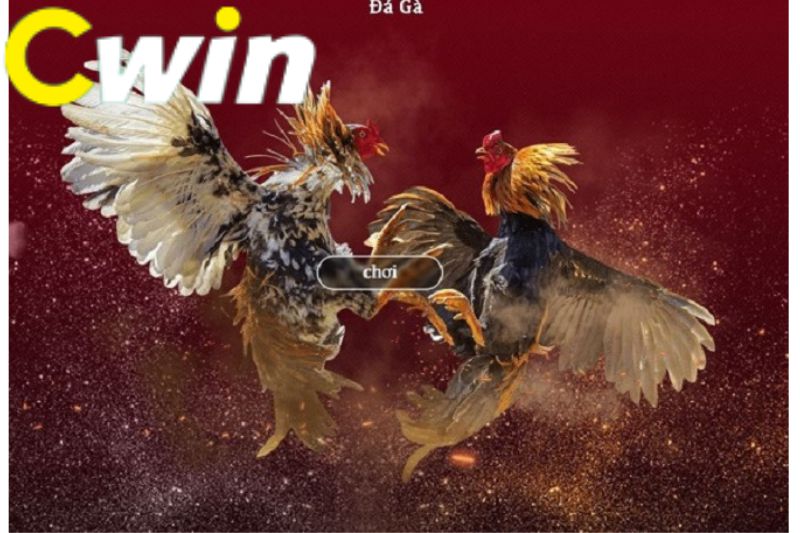 Đánh giá và tổng quan V7sb - V7sb