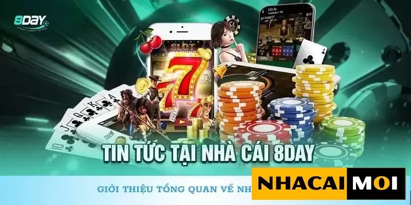 Hỗ trợ N88: Hướng dẫn nâng cao về tìm kiếm cạnh tranh - N88
