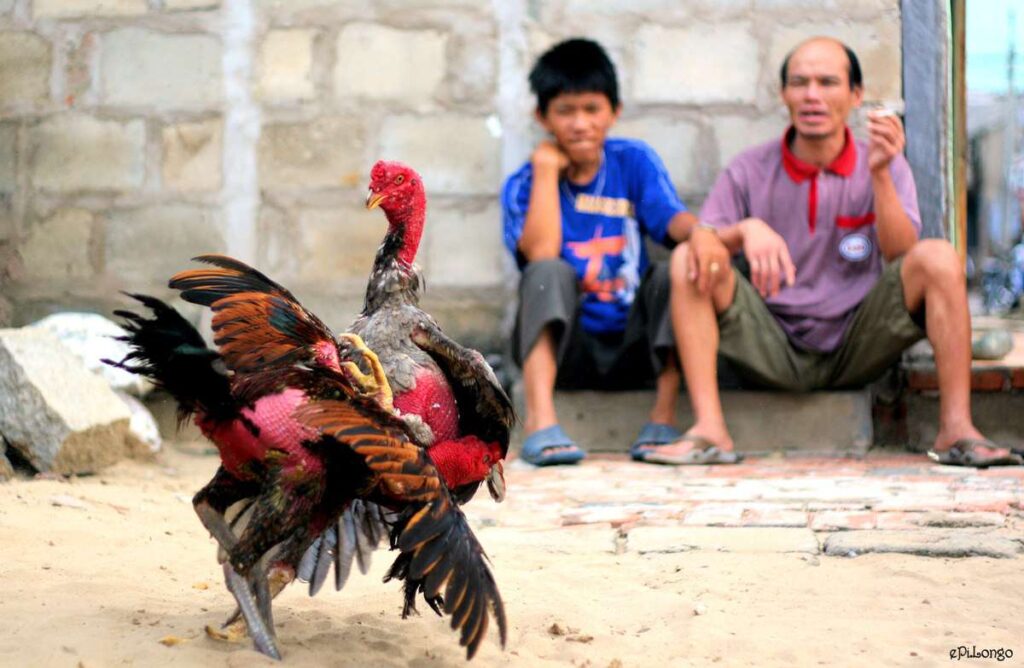 Giới thiệu thương hiệu 188Bet - 188Bet