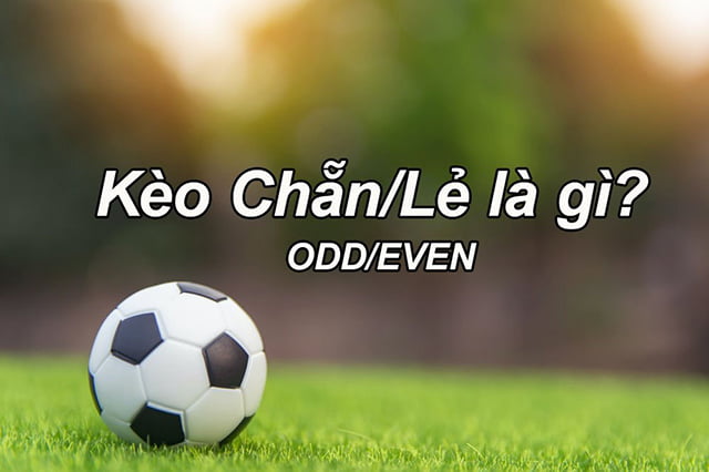Bình luận của người chơi trên trang chủ Z8bet - Z8bet
