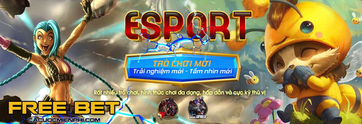 Câu lạc bộ 11Vn: Thanh khoản thị trường nhanh nhất - 11Vn