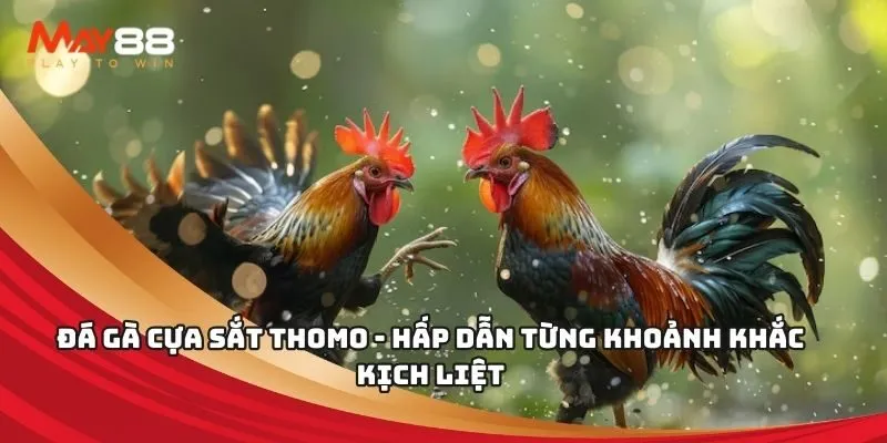 Công ty sẽ triển khai một chiến dịch quảng bá khi trò chơi ra mắt, tặng 50000 vật phẩm chất lượng Vn888 - Vn888