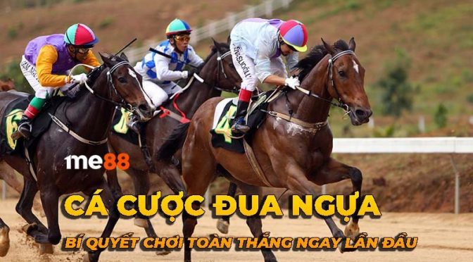 Cách 24N hiểu về việc bị rượt đuổi trong giấc mơ - 24N