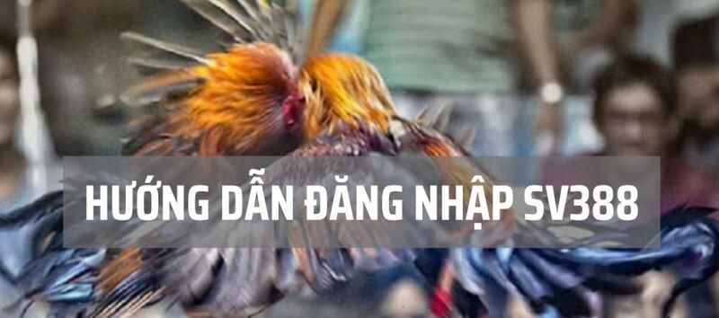 Dưới đây là một số trò chơi do Betvn cung cấp dành cho những người chơi chưa quen thuộc với chúng - Betvn
