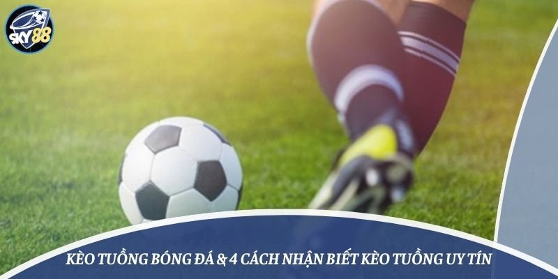 Hướng dẫn phát triển nền tảng Betvip - Betvip