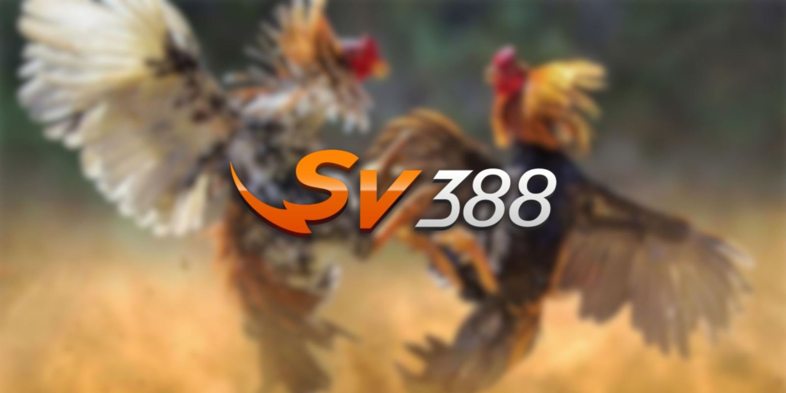 Ứng dụng cá cược Sbet68 hoạt động mượt mà trên mọi hệ điều hành - Sbet68