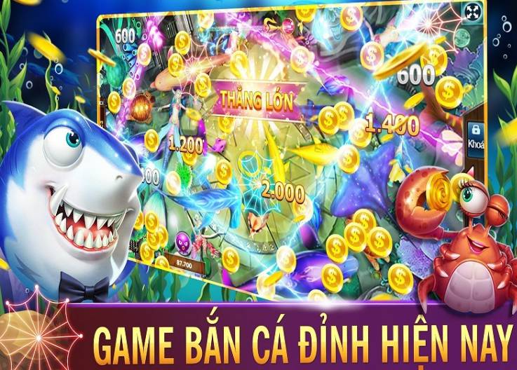 Chiến lược phát triển tương lai của Letou - Letou