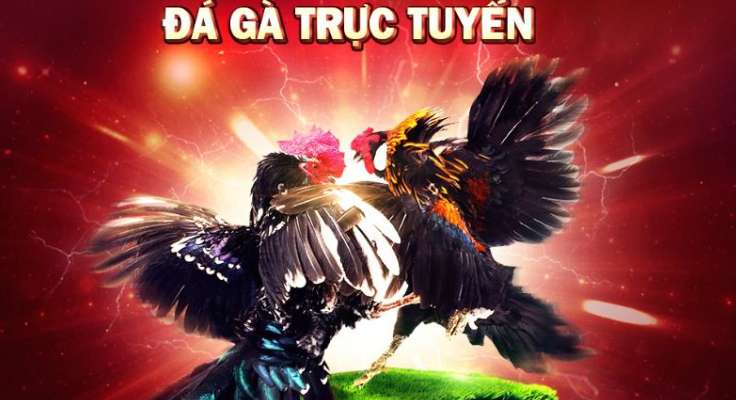 Liệu chiêu trò lừa đảo tin tức Dd7 có thực sự đánh lừa được người chơi? - Dd7