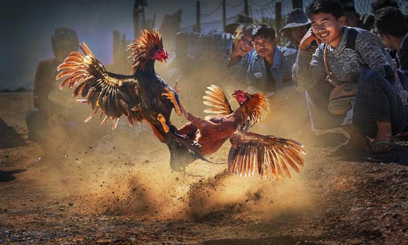 Điều gì làm cho Sunwin trở nên độc đáo? - Sunwin